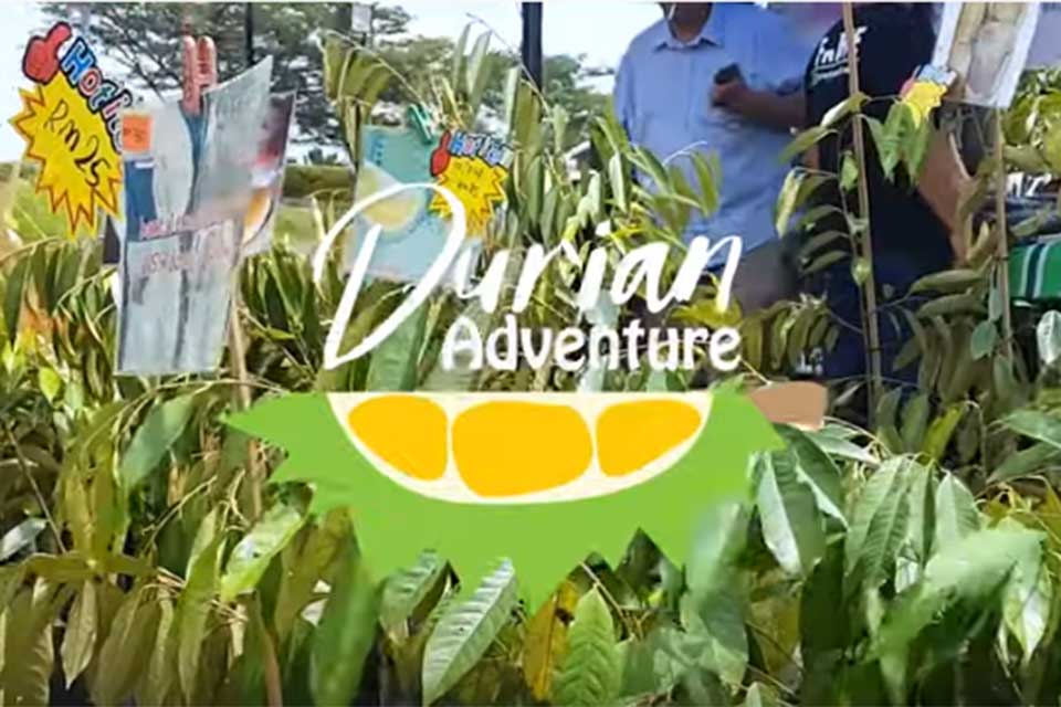 DURIAN ADVENTURE: Durian research centre under construction in Selangor