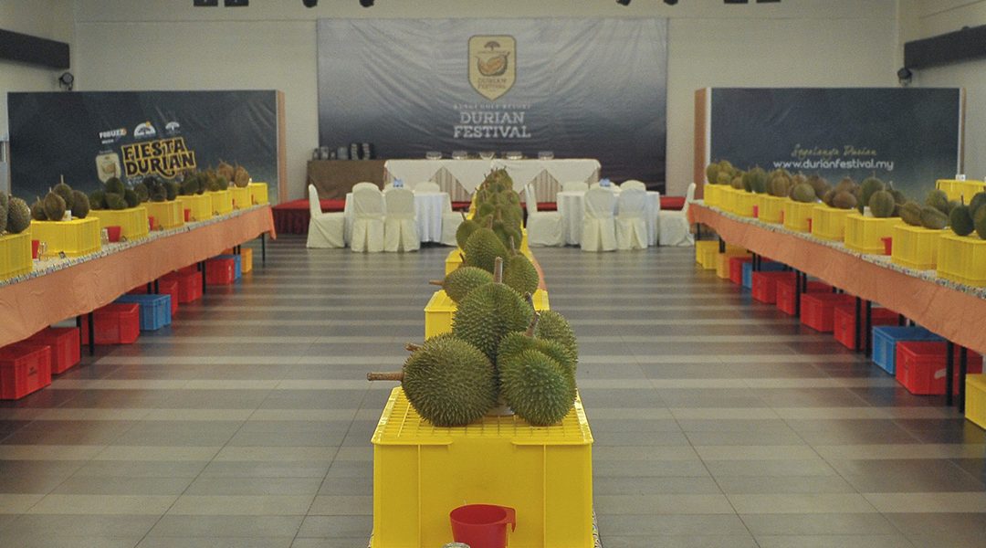 World Durian Championship 2022: Northern Kings Edition