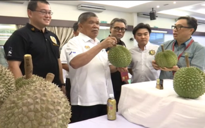 Eksport durian Malaysia cecah RM1.14 bilion, melonjak 256%